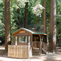 Forest Cabins