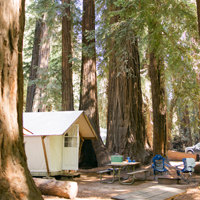 Tent Cabins