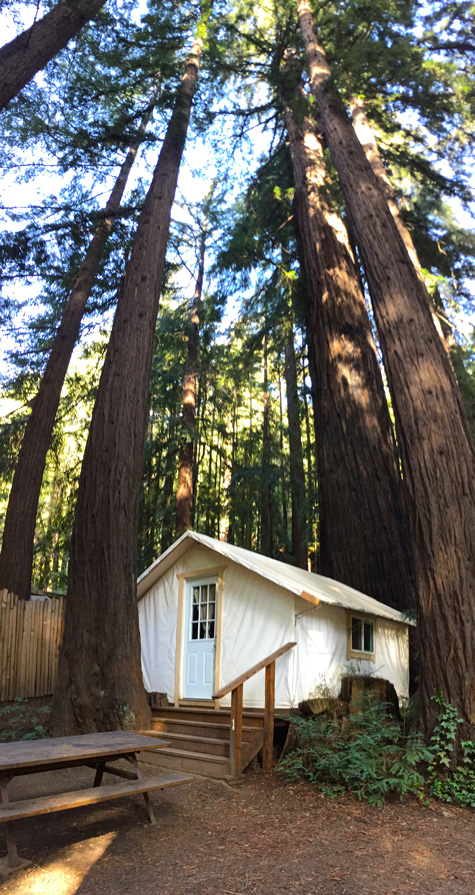 Adventure Tent Camping in Big Sur