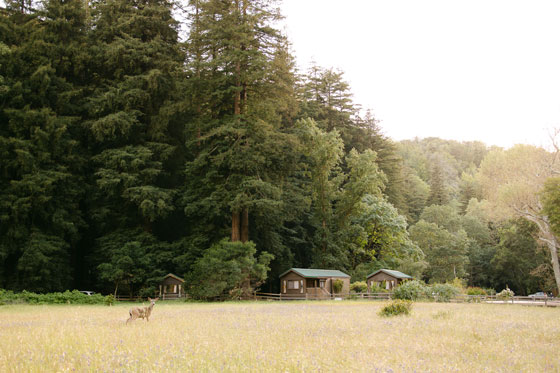 Forest Cabin Kitchens