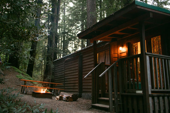 Forest Cabins Kitchen