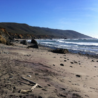 Andrew Molera State Park