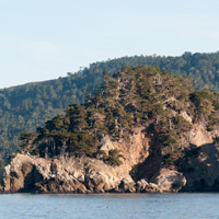 Point Lobos