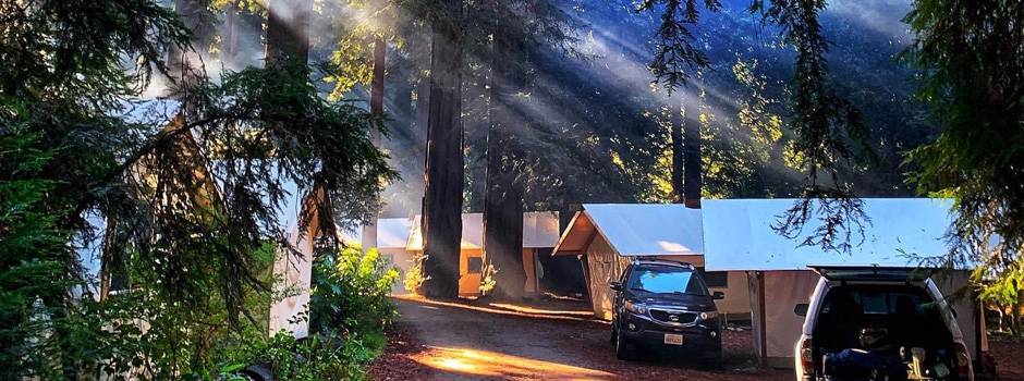 Fernwood Tent Cabins alongside the Big Sur River